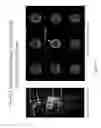 Fig. 10 - Pet imaging of zinc transport