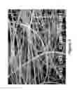 Fig. 04 - Electrospun dextran fibers and devices formed therefrom