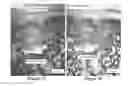 Fig. 04 - Solid forms for tissue repair