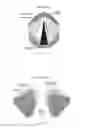Fig. 02 - Hydrogels for vocal cord and soft tissue augmentation and repair