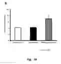 Fig. 03 - COMBINATION THERAPY TO PROMOTE WOUND HEALING