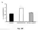 Fig. 05 - COMBINATION THERAPY TO PROMOTE WOUND HEALING