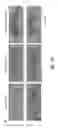 Fig. 06 - COMBINATION THERAPY TO PROMOTE WOUND HEALING