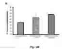 Fig. 07 - COMBINATION THERAPY TO PROMOTE WOUND HEALING