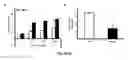 Fig. 08 - COMBINATION THERAPY TO PROMOTE WOUND HEALING