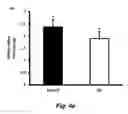 Fig. 10 - COMBINATION THERAPY TO PROMOTE WOUND HEALING