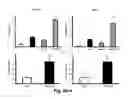 Fig. 14 - COMBINATION THERAPY TO PROMOTE WOUND HEALING