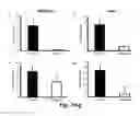 Fig. 17 - COMBINATION THERAPY TO PROMOTE WOUND HEALING