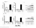 Fig. 20 - COMBINATION THERAPY TO PROMOTE WOUND HEALING
