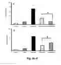 Fig. 22 - COMBINATION THERAPY TO PROMOTE WOUND HEALING