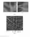 Fig. 02 - TISSUE REPAIR SCAFFOLD AND PREPARATION METHOD AND PURPOSE THEREOF