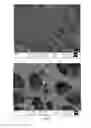 Fig. 03 - TISSUE REPAIR SCAFFOLD AND PREPARATION METHOD AND PURPOSE THEREOF