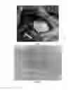 Fig. 05 - TISSUE REPAIR SCAFFOLD AND PREPARATION METHOD AND PURPOSE THEREOF