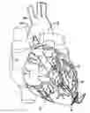 Fig. 01 - Guidewire system and method of pump installation using same