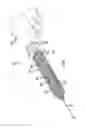 Fig. 02 - Non Slip Syringe Assembly