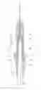 Fig. 01 - Vaccination syringe
