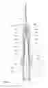 Fig. 06 - Vaccination syringe