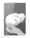Fig. 08 - Catheter placement device
