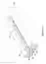 Fig. 09 - Cutting balloon catheter