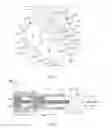 Fig. 02 - Delivery of cardiac stimulation devices
