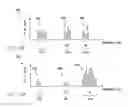Fig. 06 - System and method to control dorsal root stimulation parameters based on frequency decomposition