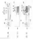 Fig. 07 - SYSTEMS AND METHODS FOR MANAGING TIERED TACHYCARDIA THERAPY