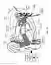 Fig. 03 - Modulating function of neural structures near the ear