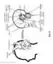 Fig. 07 - Modulating function of neural structures near the ear