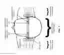 Fig. 09 - Modulating function of neural structures near the ear