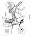 Fig. 13 - Modulating function of neural structures near the ear