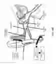 Fig. 14 - Modulating function of neural structures near the ear