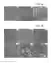 Fig. 04 - COMPOSITIONS INCLUDING MATRIX AND BIOMATERIAL, USES THEREOF AND METHODS OF USING THE SAME