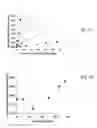 Fig. 29 - COMPOSITIONS INCLUDING MATRIX AND BIOMATERIAL, USES THEREOF AND METHODS OF USING THE SAME