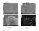 Fig. 33 - COMPOSITIONS INCLUDING MATRIX AND BIOMATERIAL, USES THEREOF AND METHODS OF USING THE SAME