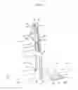Fig. 05 - Towel stretching assembly for stretching exercises