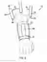 Fig. 04 - EXERCISE ASSEMBLY