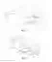 Fig. 02 - Exercise device