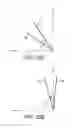 Fig. 21 - INCLINATION DETERMINATION DEVICE, INCLINATION DETERMINATION SYSTEM, INCLINATION DETERMINATION METHOD, EXERCISE ANALYSIS DEVICE, EXERCISE ANALYSIS SYSTEM, EXERCISE ANALYSIS METHOD, AND RECORDING MEDIUM