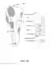 Fig. 18 - Carry measuring device, hit-ball-direction measuring device, carry  measuring system, carry measuring method, hit-ball determining device, hit-ball determining system, hit-ball determining method, and recording medium