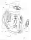Fig. 01 - Accuracy ball