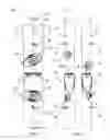 Fig. 02 - Splitboard binding