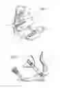Fig. 02 - Adjusting assembly comprising a retaining link and a blocking device for keeping a shoe on a sports apparatus