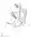 Fig. 04 - Heel locking binding system