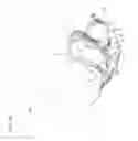 Fig. 14 - Heel locking binding system