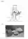 Fig. 06 - Summer style wheeled ski