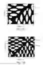 Fig. 11 - COMPOSITE FILTER SUBSTRATE COMPRISING A MIXTURE OF FIBERS