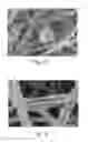 Fig. 14 - COMPOSITE FILTER SUBSTRATE COMPRISING A MIXTURE OF FIBERS