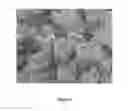 Fig. 10 - Adsorbent materials and methods of use
