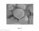 Fig. 18 - Adsorbent materials and methods of use