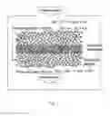 Fig. 02 - METHOD AND SYSTEM FOR THE PURIFICATION OF EXHAUST GAS WITH AN ELECTROCHEMICAL CELL